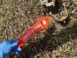 Identitas Kerangka Manusia di Hutan Sumber Rembang Terungkap